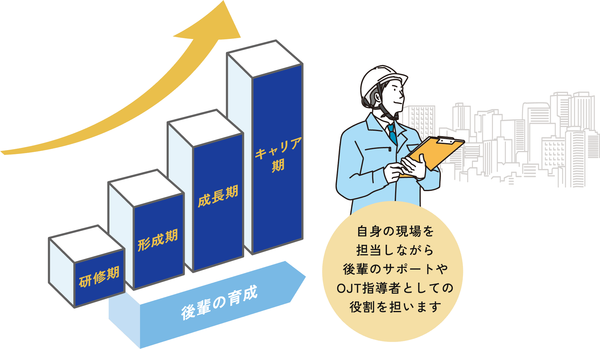 研修期からキャリア期までの成長段階を示す棒グラフと上向きの矢印。