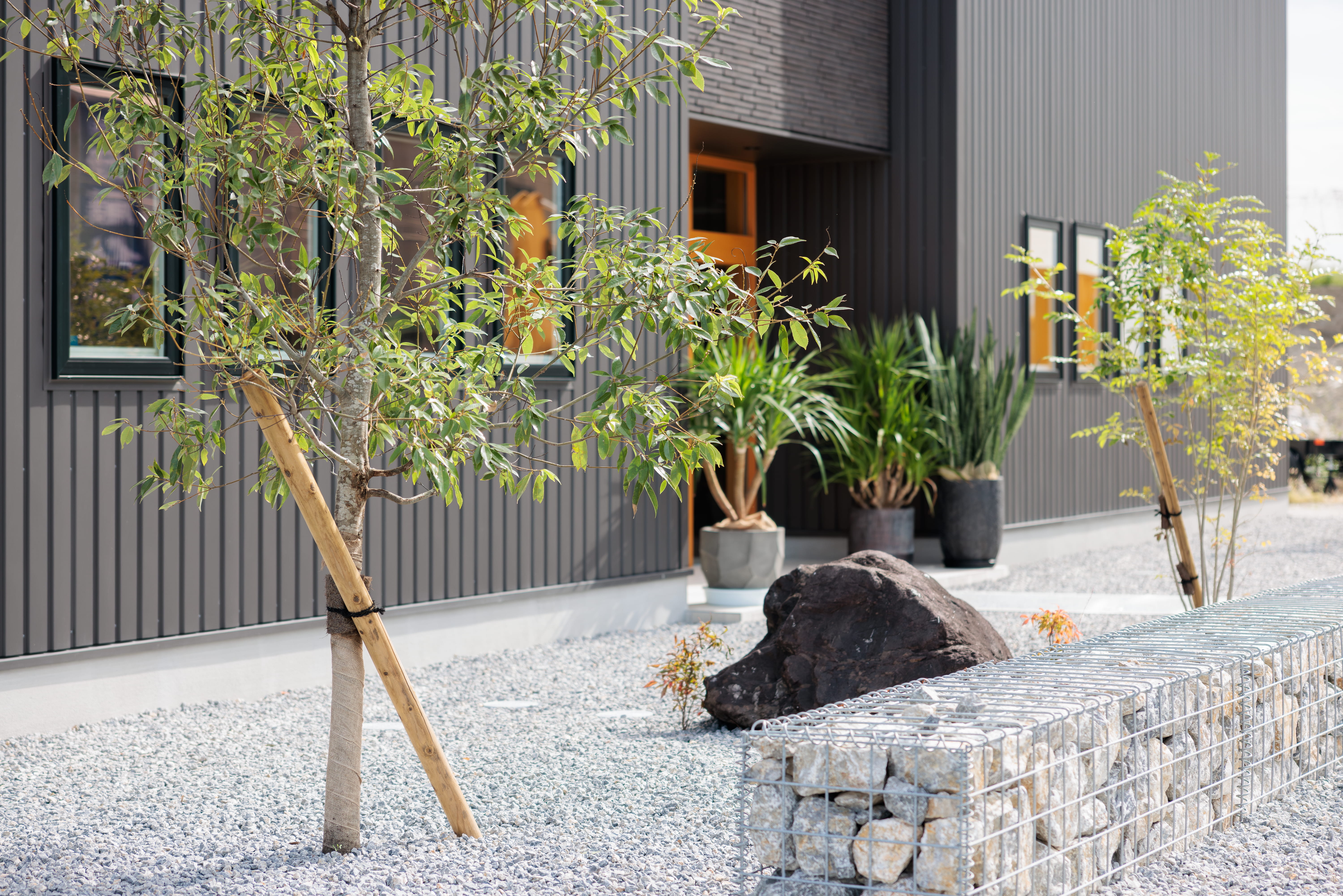 彩のある玄関前の植栽